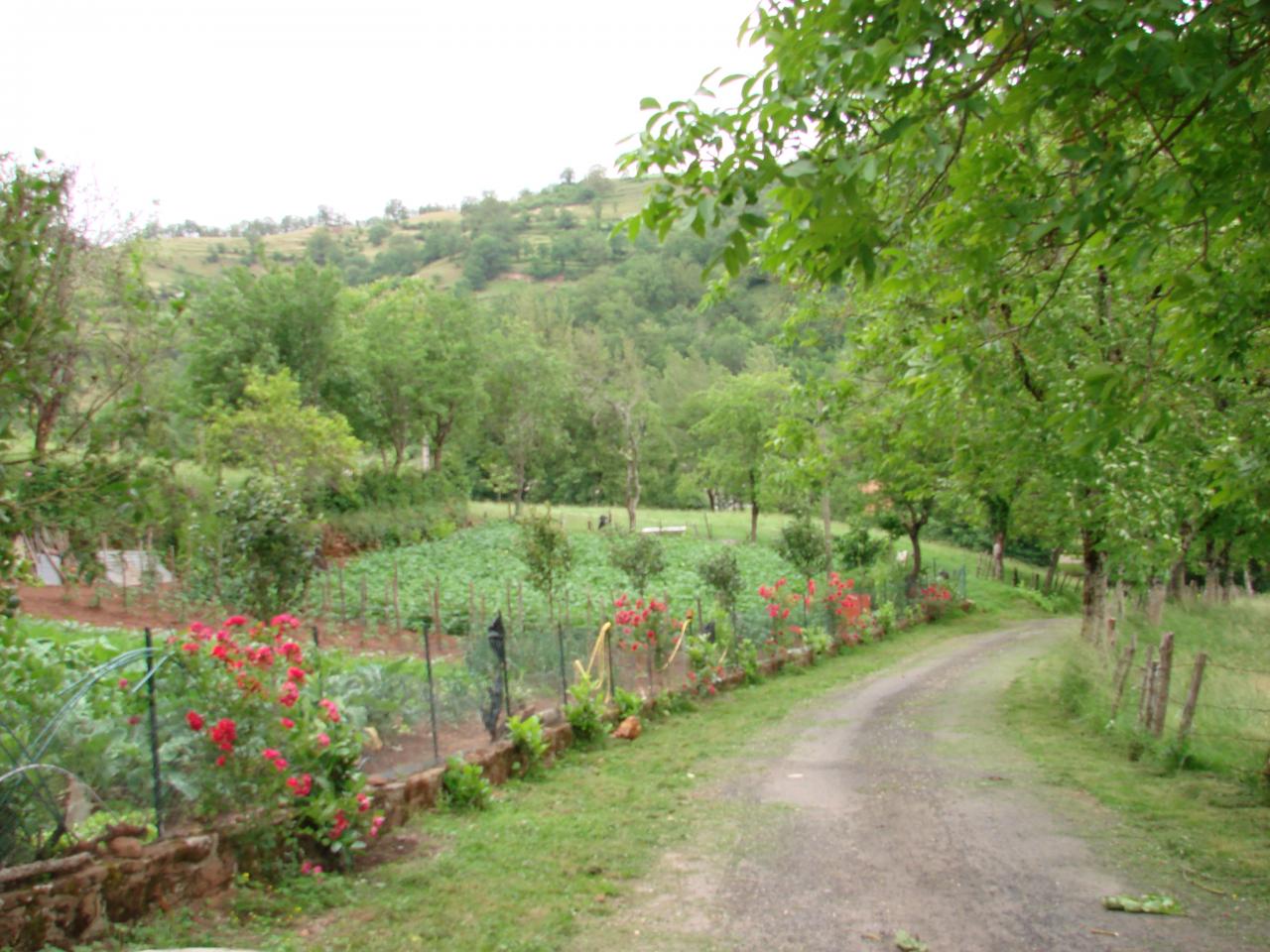 chemin coté jardin